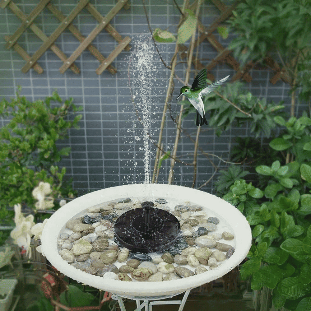 Solar-powered water fountain pump operating in birdbath surrounded by decorative stones