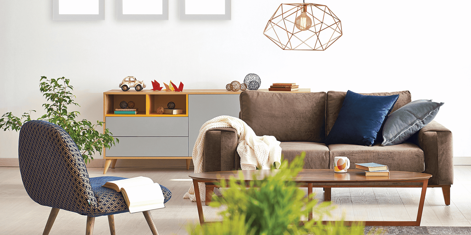 Minimalist home interior with cozy accent chair, green plant, and bright shelving for clean decor aesthetic.