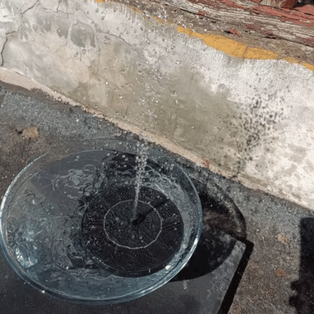 Solar-powered fountain pump in a birdbath, eco-friendly outdoor water feature for garden decor and bird attraction.